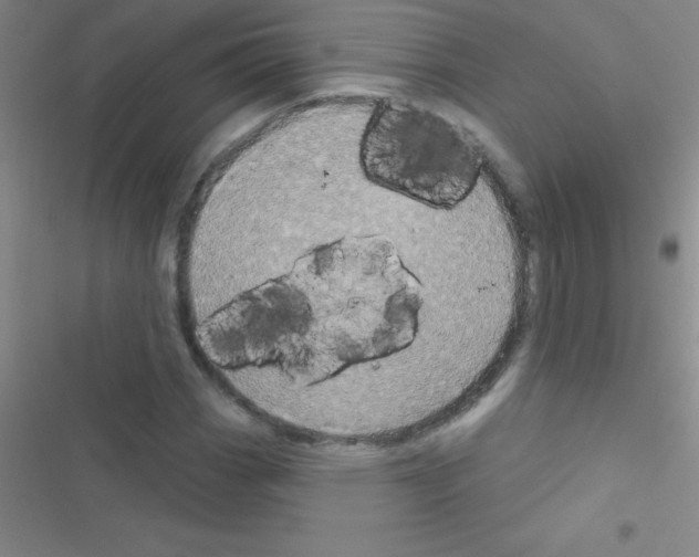 X0000116591113201001211320