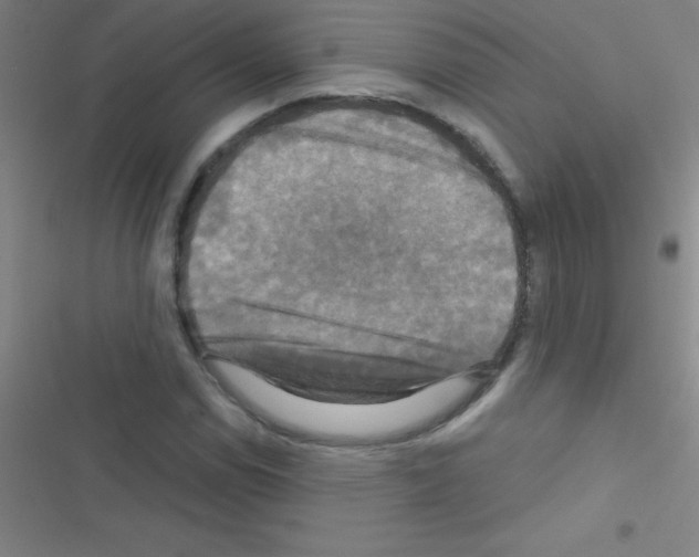 X0000116591114201001211320