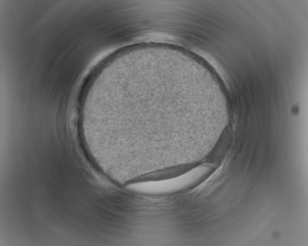 X0000116591115201001211320