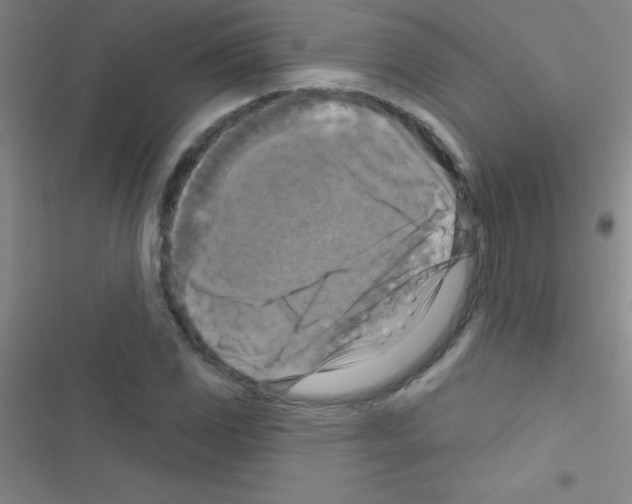 X0000116591117201001211320