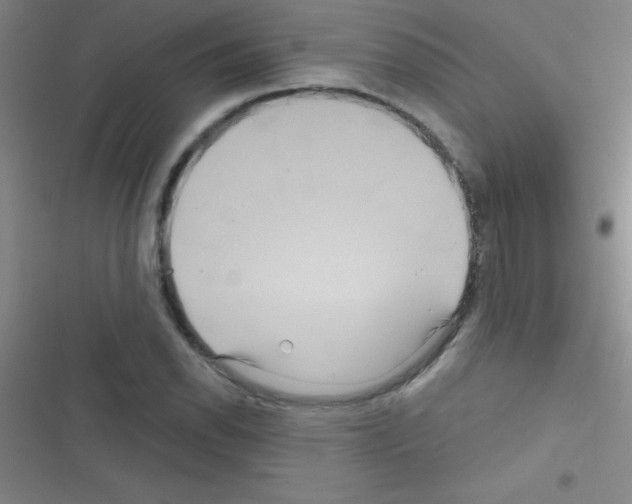 X0000116591118201001211320