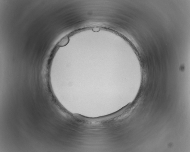 X0000116591119201001211320