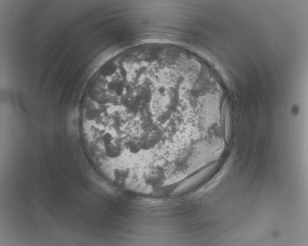 X0000116591121201001211320