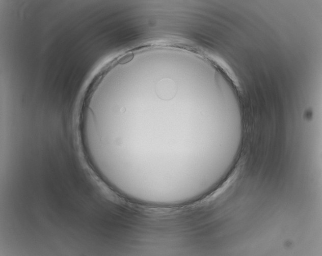 X0000116591122201001211320