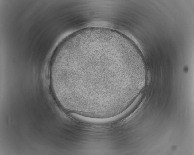 X0000116591123201001211320