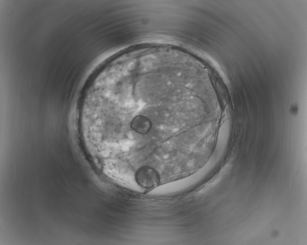 X0000116591125201001211320