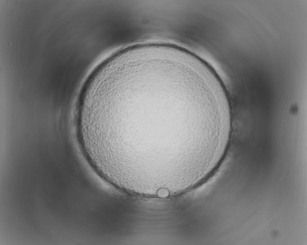 X0000116591126201001211320