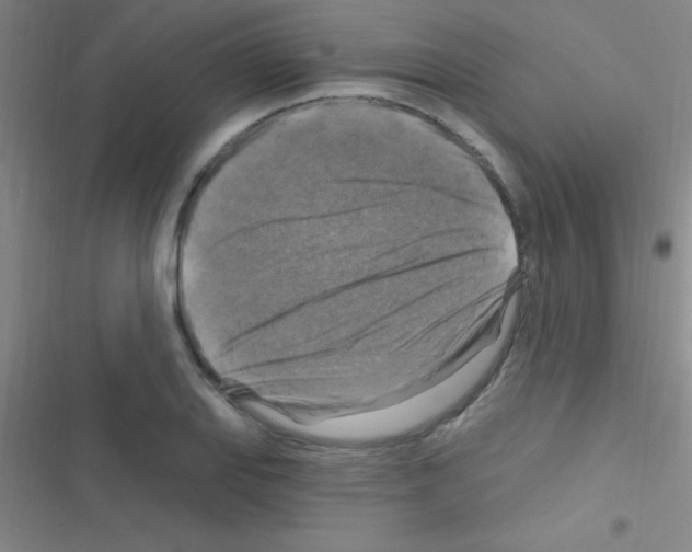 X0000116591127201001211320