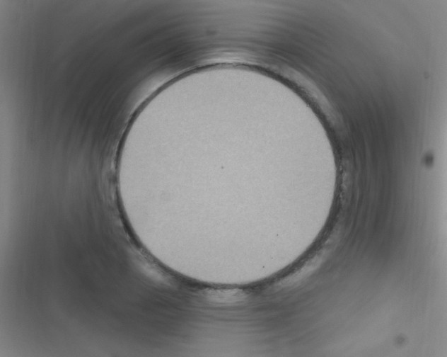 X0000116591129201001211320