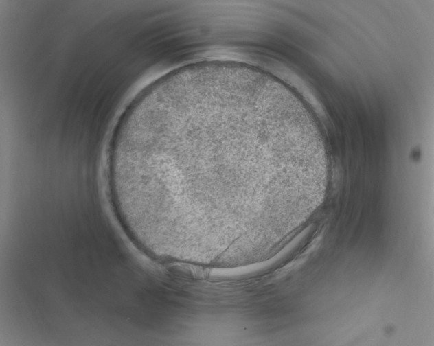 X0000116591133201001211320