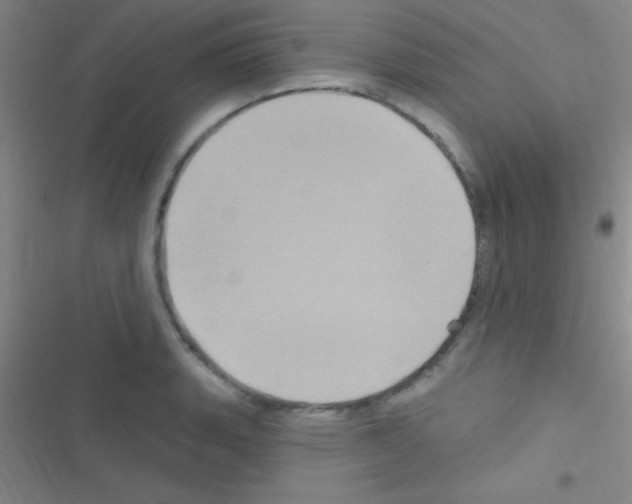 X0000116591135201001211320