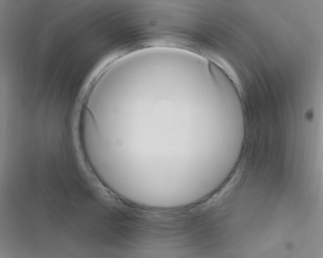 X0000116591138201001211320