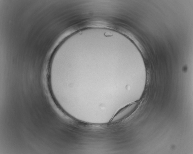 X0000116591139201001211320