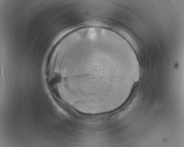 X0000116591141201001211320