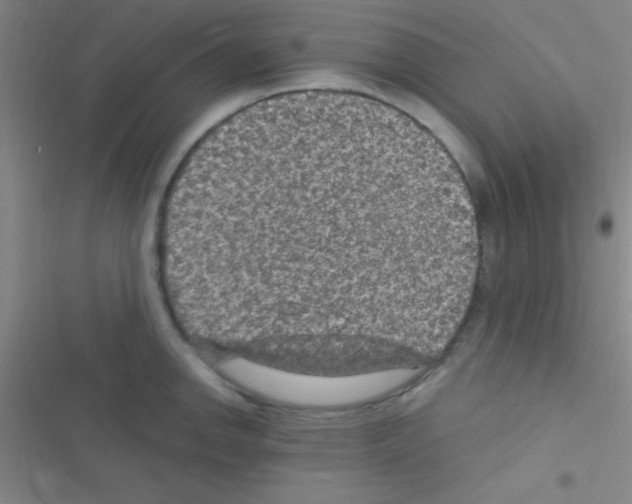 X0000116591142201001211320