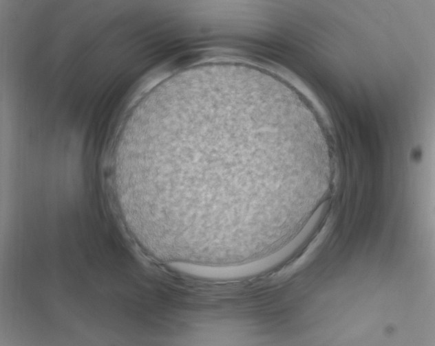 X0000116591145201001211320