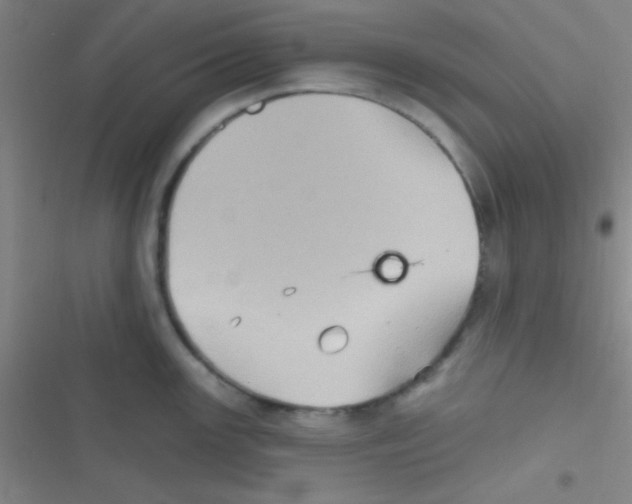 X0000116591147201001211321