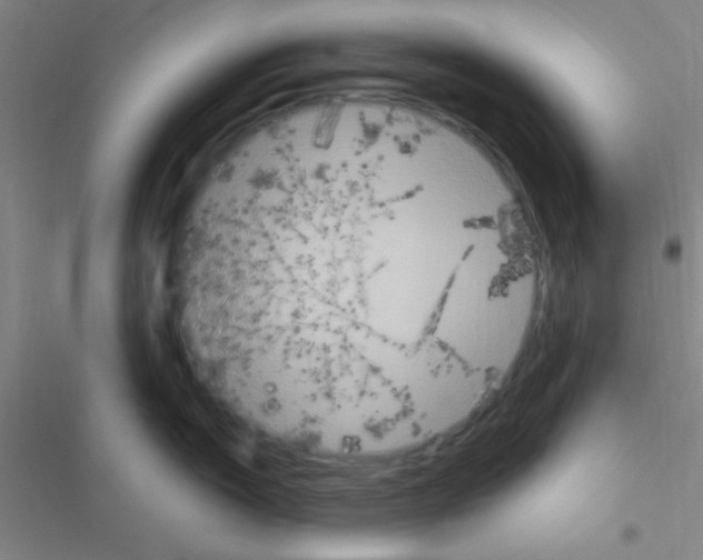 X0000116591150201001211321