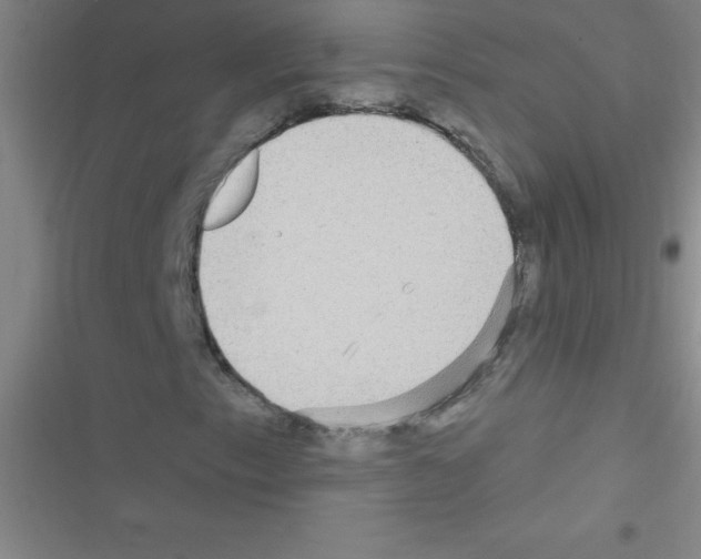 X0000116591153201001211320