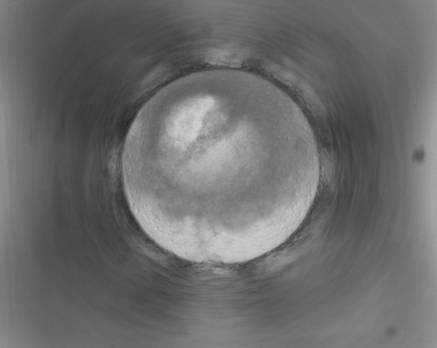 X0000116591154201001211320