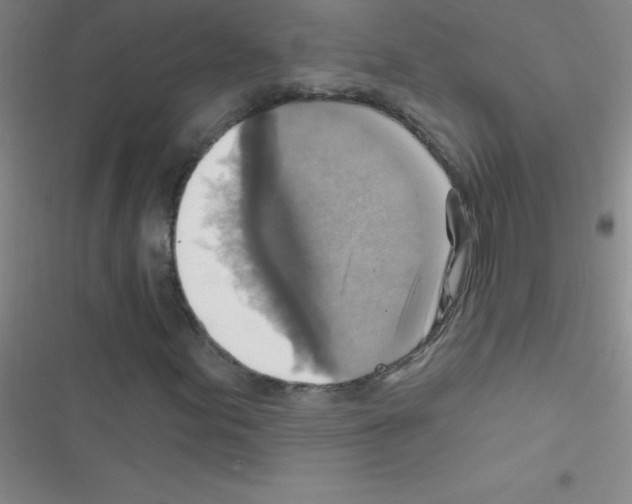 X0000116591155201001211320