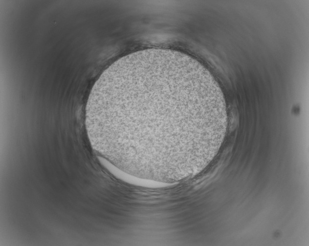 X0000116591156201001211320