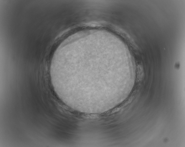 X0000116591158201001211320