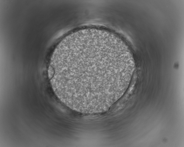 X0000116591159201001211320