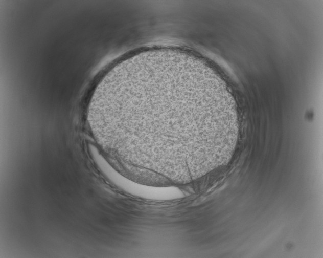 X0000116591160201001211320