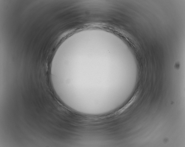 X0000116591161201001211320