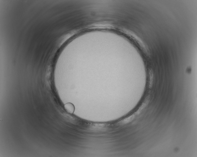 X0000116591162201001211320