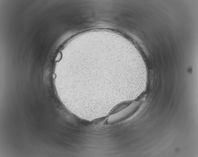 X0000116591163201001211320