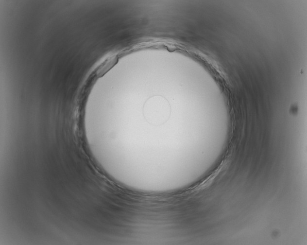 X0000116591165201001211320