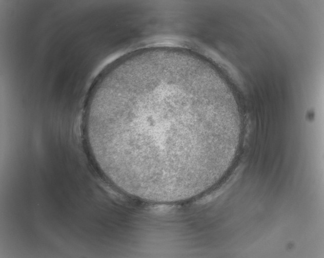 X0000116591166201001211320