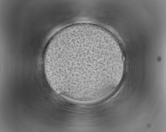 X0000116591167201001211320