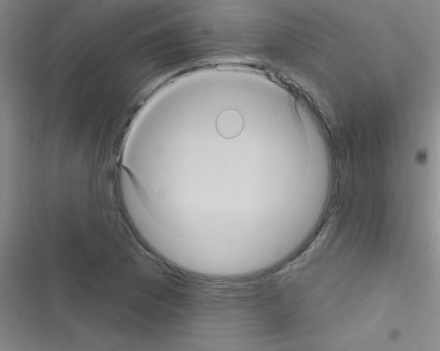 X0000116591169201001211320