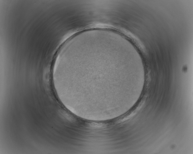 X0000116591170201001211320