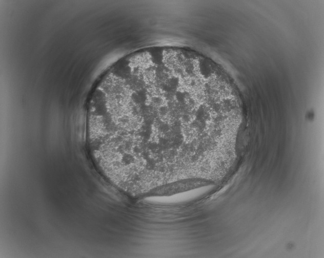 X0000116591171201001211320