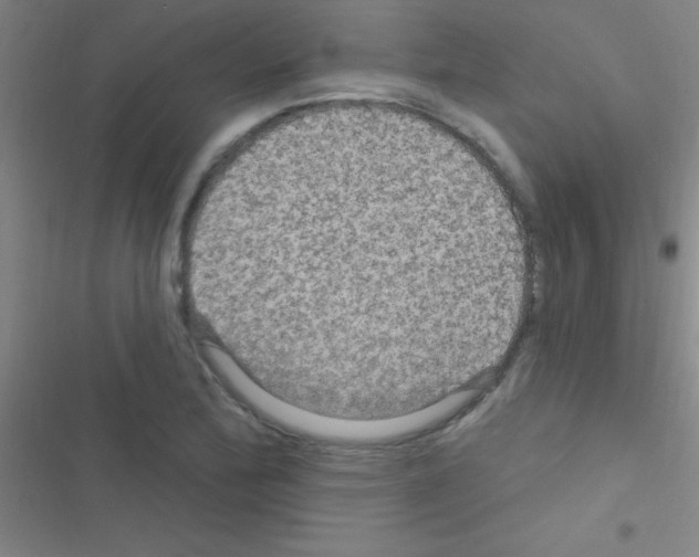 X0000116591172201001211320