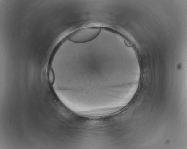 X0000116591173201001211320