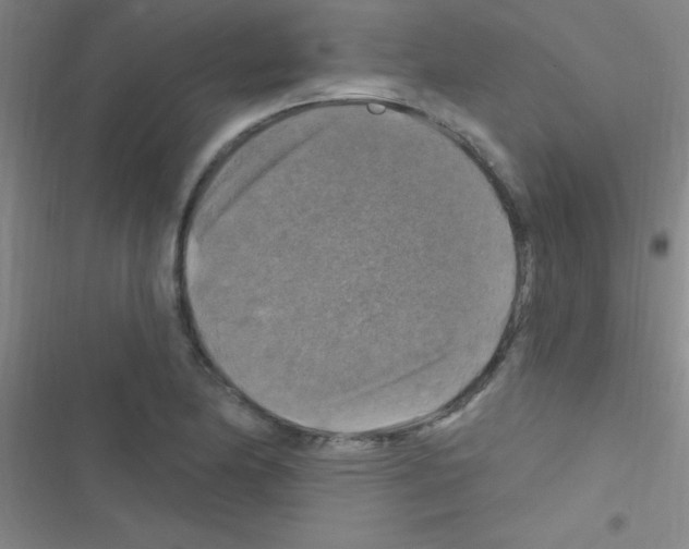 X0000116591174201001211320