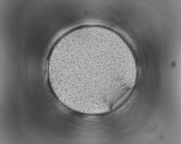 X0000116591175201001211320