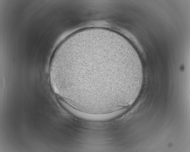 X0000116591176201001211320