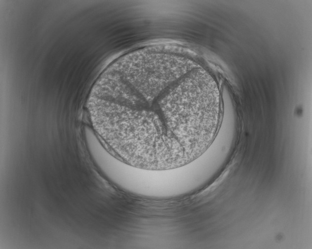 X0000116591177201001211320