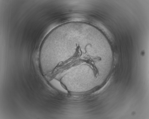 X0000116591178201001211320