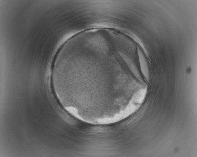 X0000116591179201001211320