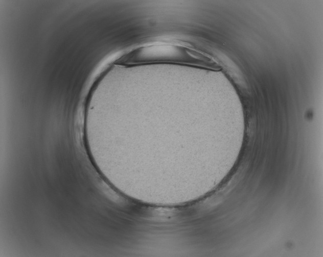 X0000116591180201001211320