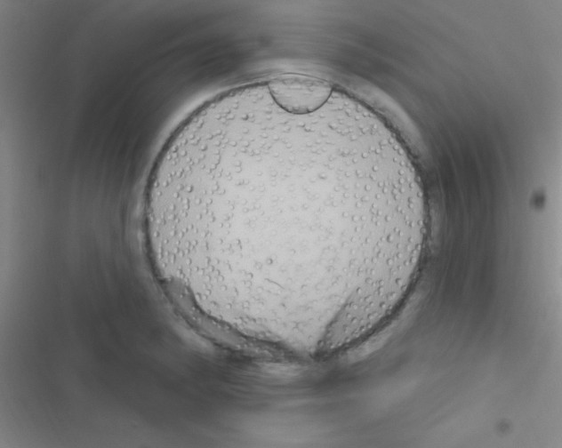 X0000116591182201001211320