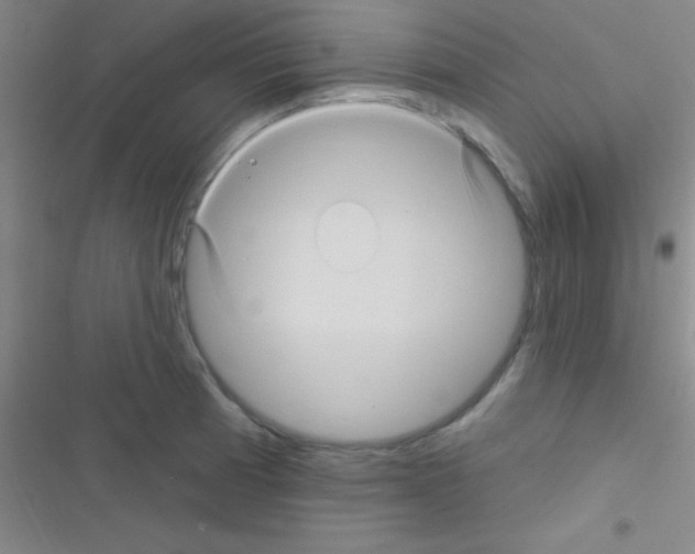 X0000116591185201001211320