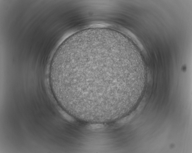 X0000116591186201001211319